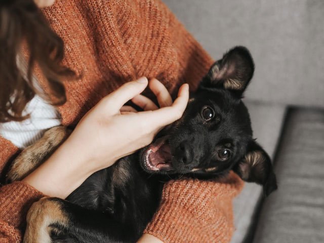 veronika-jorjobert-27w3ULIIJfI-unsplash_1