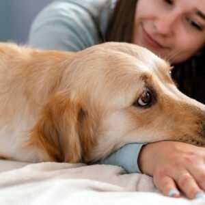 Rescue Story
