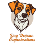 Dogs Rescue Organization