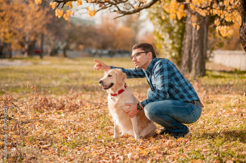 Dog Training