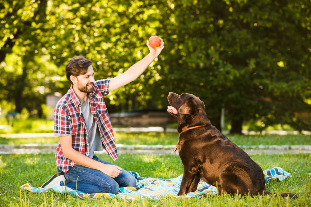 Friendly Dog Breeds