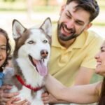 Time-limited dog insurance