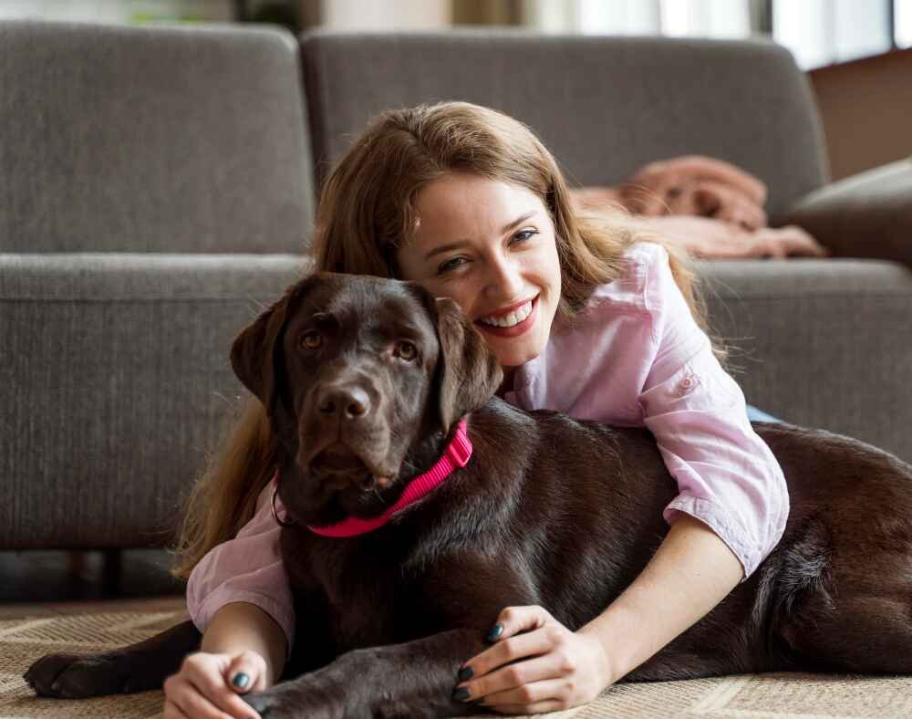 Dog Insurance Companies