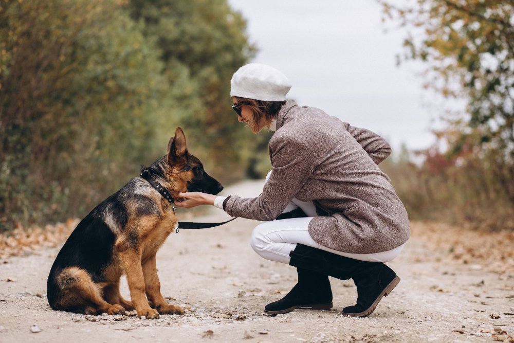 Beware of Dog Sign law