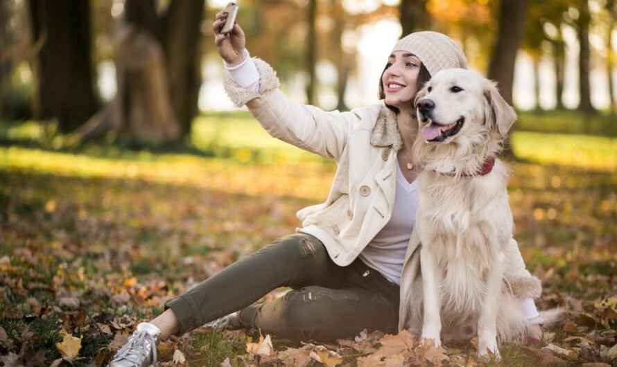 Inspiring Dog Rescue Shelter Saving Lives One Paw at a Time