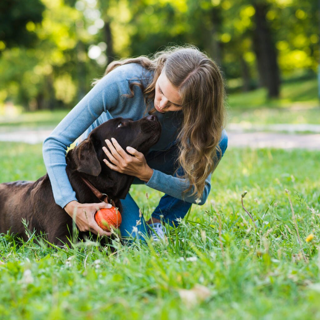 Saving Lives, One Paw at a Time by a Dog Rescue Shelter